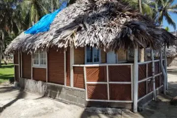 aguja 5