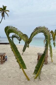 Paisaje tropical con palmeras y playa en Isla Pelícano, Guna Yala.